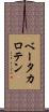 ベータ・カロテン Scroll