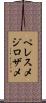 ペレスメジロザメ Scroll