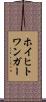 ホイヒトワンガー Scroll