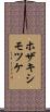 ホザキシモツケ Scroll