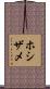 ホシザメ Scroll