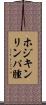 ホジキンリンパ腫 Scroll