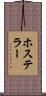 ホステラー Scroll