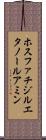 ホスファチジルエタノールアミン Scroll