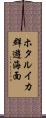 ホタルイカ群遊海面 Scroll