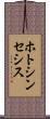 ホトシンセシス Scroll