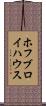 ホフブロイハウス Scroll