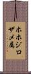 ホホジロザメ属 Scroll