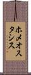 ホメオスタシス Scroll