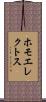 ホモ・エレクトス Scroll