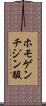 ホモゲンチジン酸 Scroll