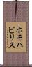 ホモハビリス Scroll