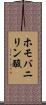 ホモバニリン酸 Scroll