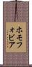 ホモフォビア Scroll