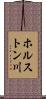 ホルストン川 Scroll