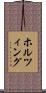 ホルツィング Scroll