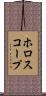 ホロスコープ Scroll