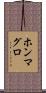 ホンマグロ Scroll