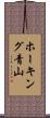 ホーキング青山 Scroll