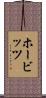 ホービッツ Scroll
