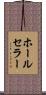 ホールセラー Scroll