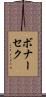 ボナーセク Scroll