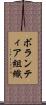 ボランティア組織 Scroll