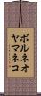 ボルネオヤマネコ Scroll