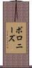 ボロニーズ Scroll