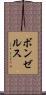 ボンゼルス Scroll