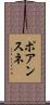 ポアンスネ Scroll