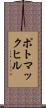 ポトマックヒル Scroll