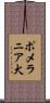 ポメラニア犬 Scroll