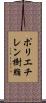 ポリエチレン樹脂 Scroll