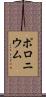 ポロニウム Scroll