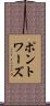 ポントワーズ Scroll