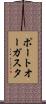 ポートオーガスタ Scroll