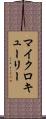マイクロキューリー Scroll