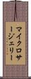 マイクロサージェリー Scroll