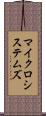 マイクロシステムズ Scroll