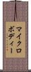 マイクロボディー Scroll