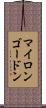 Myron Gordon Scroll
