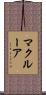 McClure Scroll