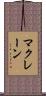 McLane Scroll