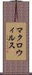 マクロ・ウィルス Scroll