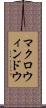 マクロ・ウィンドウ Scroll