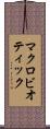 マクロビオティック Scroll