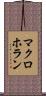 マクロホラン Scroll