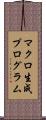 マクロ生成プログラム Scroll