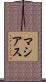 Macias Scroll